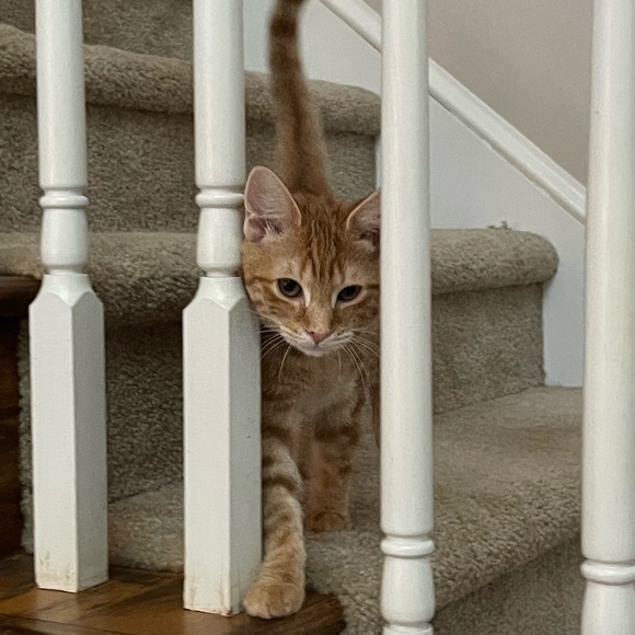 Meet your Posher, Jess - Picture 12 of 16